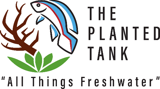 The Planted Tank