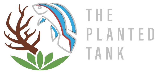 The Planted Tank