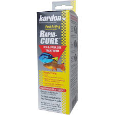 Kordon Rapid-Cure 4 oz