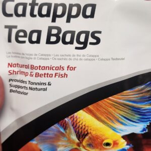 Catappa leaf tea bags