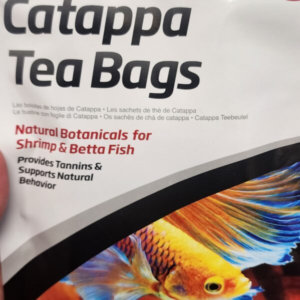 Catappa leaf tea bags