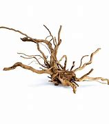Spider wood