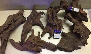 Malaysian drift wood