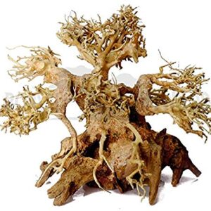 Dragon wood