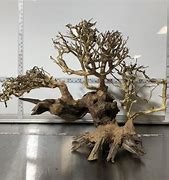 Corcovada wood
