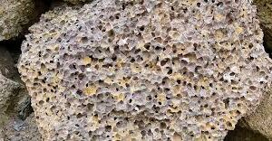 Avatar Pumice