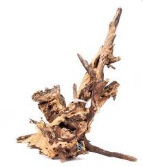 Cyruswood
