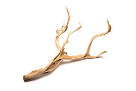 Ghost wood